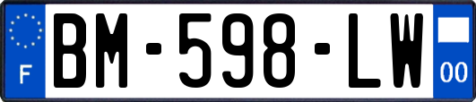 BM-598-LW