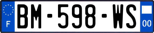 BM-598-WS