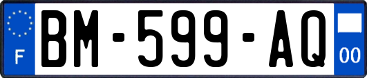 BM-599-AQ