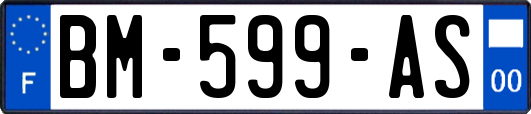 BM-599-AS