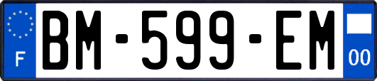 BM-599-EM