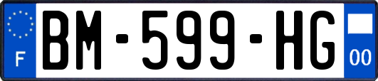 BM-599-HG