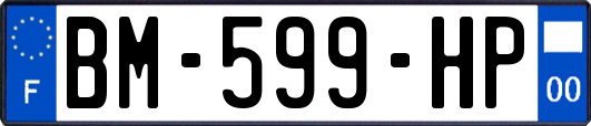 BM-599-HP