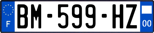 BM-599-HZ