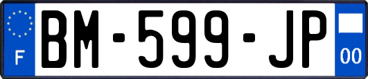 BM-599-JP