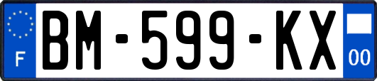 BM-599-KX