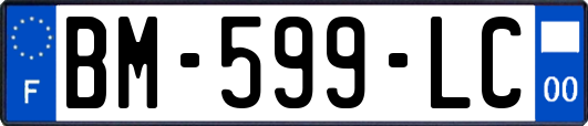 BM-599-LC