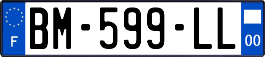 BM-599-LL
