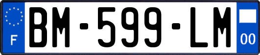 BM-599-LM