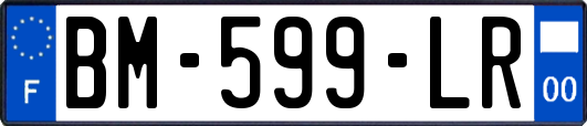 BM-599-LR
