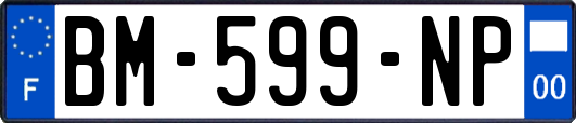 BM-599-NP