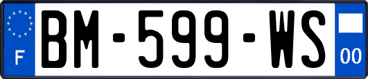 BM-599-WS