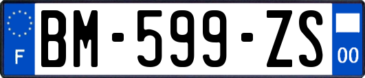 BM-599-ZS