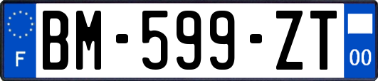 BM-599-ZT