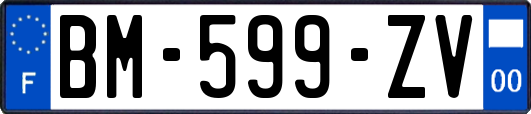 BM-599-ZV