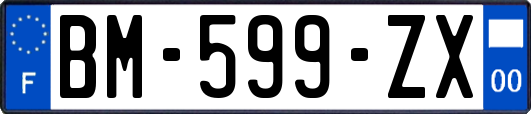 BM-599-ZX