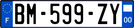 BM-599-ZY