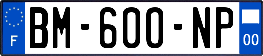 BM-600-NP