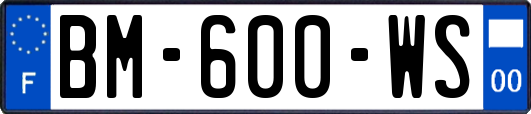 BM-600-WS