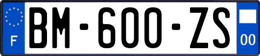 BM-600-ZS