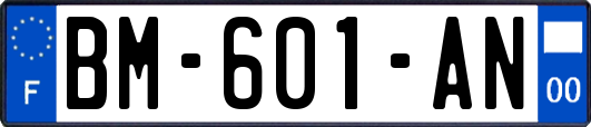 BM-601-AN