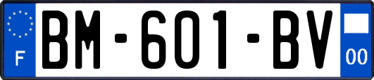 BM-601-BV