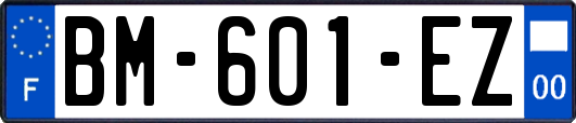 BM-601-EZ