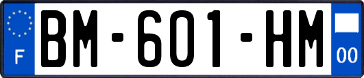 BM-601-HM