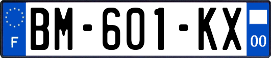 BM-601-KX