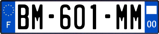 BM-601-MM