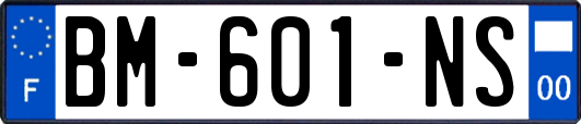 BM-601-NS