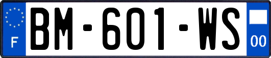 BM-601-WS