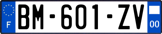 BM-601-ZV