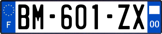 BM-601-ZX