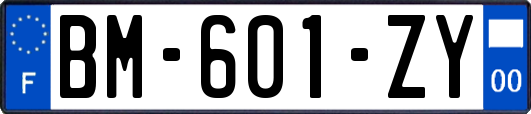 BM-601-ZY