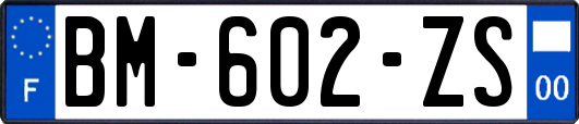 BM-602-ZS