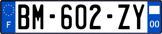 BM-602-ZY