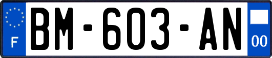 BM-603-AN