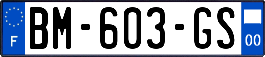 BM-603-GS