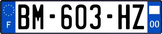 BM-603-HZ