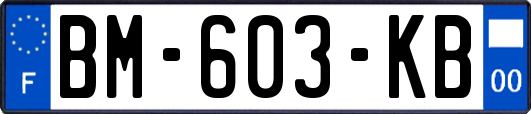 BM-603-KB
