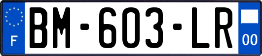 BM-603-LR
