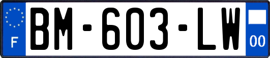 BM-603-LW