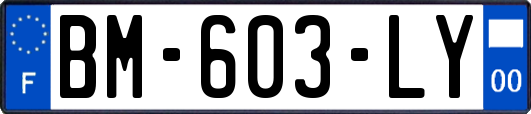 BM-603-LY