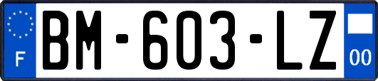 BM-603-LZ