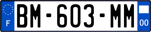 BM-603-MM