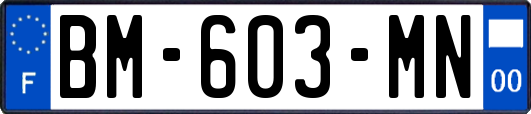 BM-603-MN