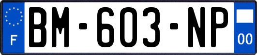 BM-603-NP