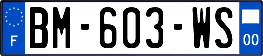 BM-603-WS
