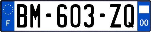 BM-603-ZQ